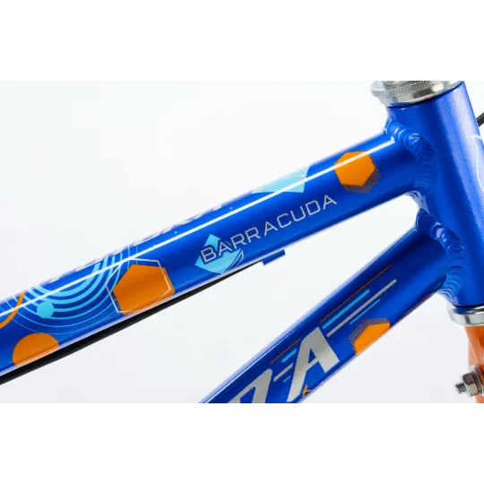 Bicicleta Futura Bmx Barracuda 16 Varon Azul